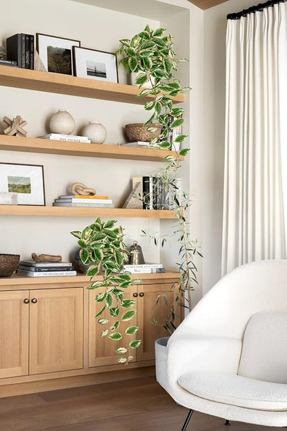 DILATATA Fake Hanging Plants Artificial Hanging Plants 26" Faux Peperomia Hanging Leaves Plants for Wall Shelf Home Indoor Outdoor Decor - 2 Pack