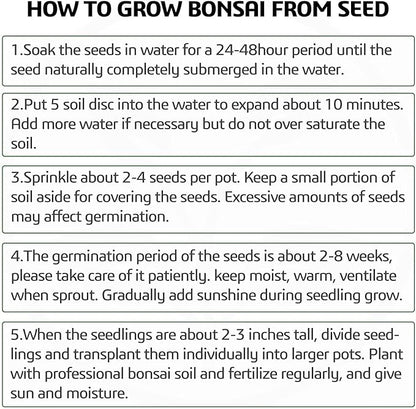 5 Bonsai Tree Kit Complete Plant Growing Tools, Grow in Pot Indoor Bonsai Tree Starter Kit, Great Home Gardening Potted Plants DIY Gift for Adults