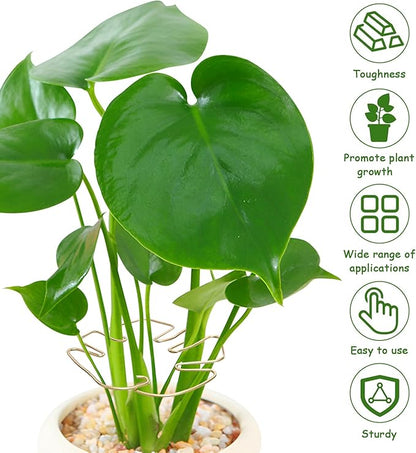 5PCS Iron Monstera Plant Support, Plant Stem Support, Turtle Shell Bamboo Clamp Set, Stable Plant Support Stakes for Indoor Plant, Ideal Present for Plant Lovers