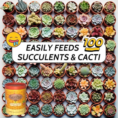 EarthPods® Organic Succulent & Cactus Fertilizer Spikes – 100 Plant Food Capsules - Made in USA