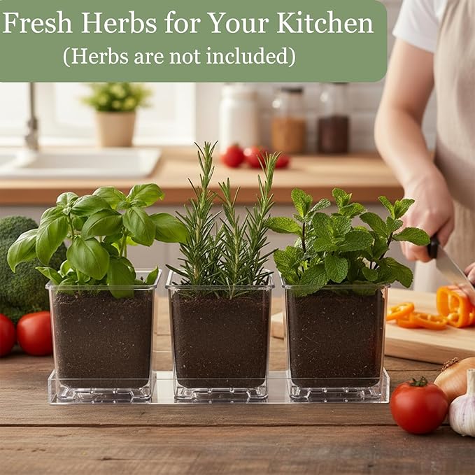 Indoor Herb Garden Kit, Herb Planter Set with Tray, Set of 3 Acrylic Garden Pots, Window Sill Plant Shelf with Drainage Holes and Labels & Marker Pen, Rosemary Plant Pots
