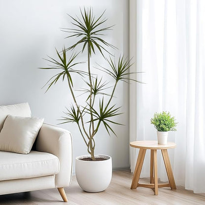 Artificial Dracaena marginata,6ft Tall Fake Plants Artificial Dracaena marginata Plants for Indoor, Fake Trees for Office Home Living Room Floor Patio Greening Porch Decor