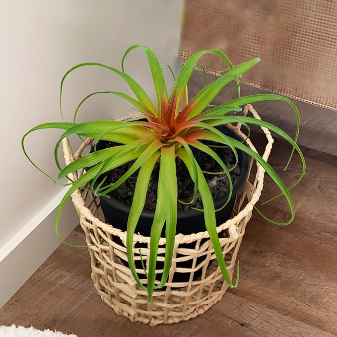 Agusbagli Succulents Plants Artificial, Large Fake Succulents Unpotted Flowers Pineapple Grass Greenery Plants for Home Outdoor Wedding Floral Arrangement Green