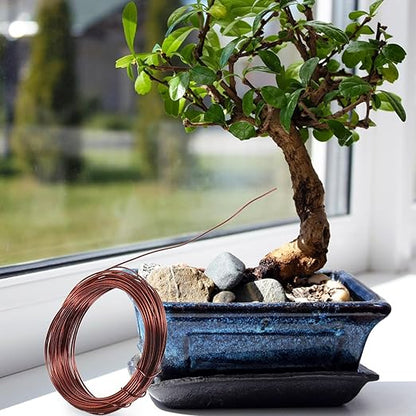 Luxshiny Bonsai Copper Wire Set for Plant Training and Climbing 10 Meters Anodized Aluminum Wire Kit for Garden Bonsai Shaping