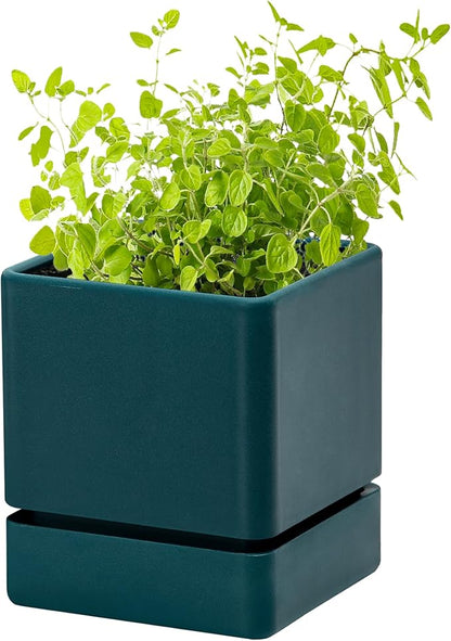 D'vine Dev 4 Inch Herb Planter Pot, Plastic Planter with Drainage Holes and Saucer, Modern Decorative Gardening Pot for Indoor Plants, Flowers, Herbs, Succulents, Green, Set of 1, 76-Y-C-1
