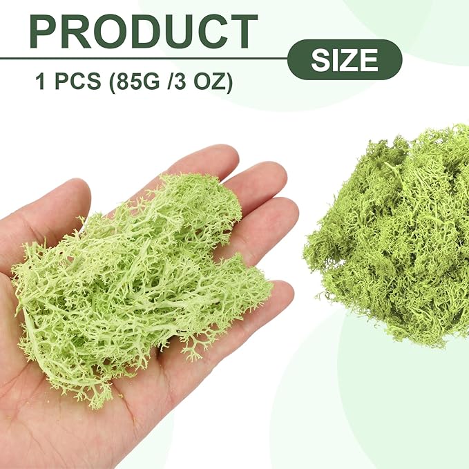 MECCANIXITY 3oz Preserved Reindeer Moss, Bright Green Decorative Artificial Fake Moss for Potted Plants Indoor Crafts Lichen Centerpieces Decor