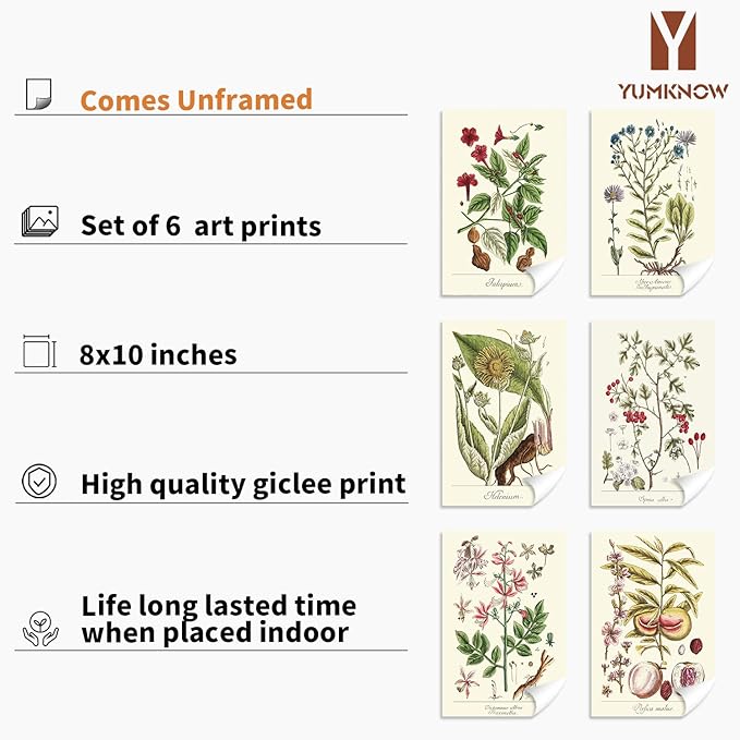 YUMKNOW Farmhouse Vintage Botanical Wall Decor - Unframed Set of 6, 8x10, Boho Cottagecore Plant Leaves Room Decor for Bathroom, Bedroom Art Posters Prints, Aesthetic Flower Pictures Office Kitchen