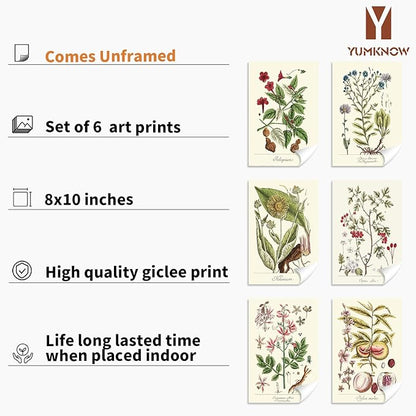 YUMKNOW Farmhouse Vintage Botanical Wall Decor - Unframed Set of 6, 8x10, Boho Cottagecore Plant Leaves Room Decor for Bathroom, Bedroom Art Posters Prints, Aesthetic Flower Pictures Office Kitchen