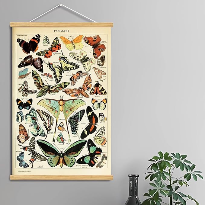 Vintage Flowers Poster Hanger Frame, Plant Floral Reference Chart Wall Decor Cottagecore Room Decor Aesthetic, Retro Style Wall Decor Art Painting Prints. (butterfly N, 24L x 16W)