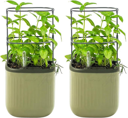 Vego garden Mini Planter Indoor Pots with Trellis Self-Watering Herb Countertop Planter for Climbing Vegetables Flowers Mint Plants Cage 2 Pack - Sage Green