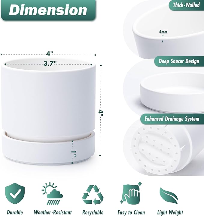 Phoenix Vine 4 Inch Planter Pot with Drainage Hole & Saucer, Deep Water Catch Tray, Straight Cylindrical Round Pot for Plants, Matte White, Pack of 6, 23-B-R-6