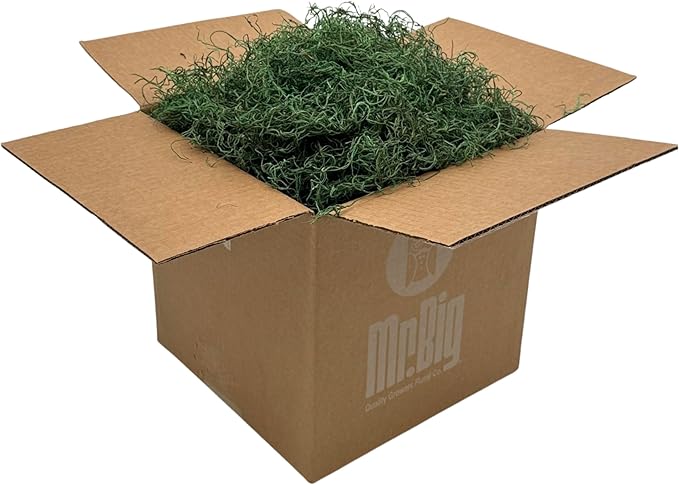 Preserved Spanish Moss - Decorative Dried Moss for Crafts, Home Decor, Art, Design & DIY Projects - for Indoor Use - Forest Green - Standard Box - Covers 10-12 sq. ft.
