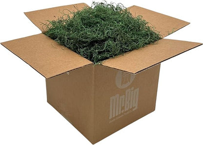 Preserved Spanish Moss - Decorative Dried Moss for Crafts, Home Decor, Art, Design & DIY Projects - for Indoor Use - Forest Green - Standard Box - Covers 10-12 sq. ft.