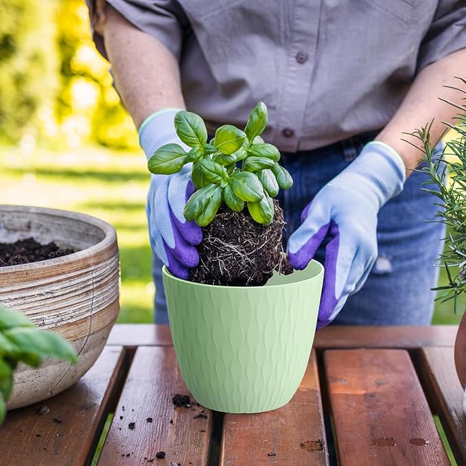 6 Inch Plant Pots, 6 Pack Flower Pots for Indoor and Outdoor Use, Planters with Drainage Holes and Saucers, Green