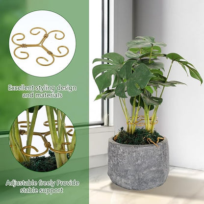 2PCS Plant Stem Support, Plant Stakes for Indoor Plants, Iron Monstera Turtle Shell Bamboo Clamp Set for Thriving Growth Accessores (Green, Gold)