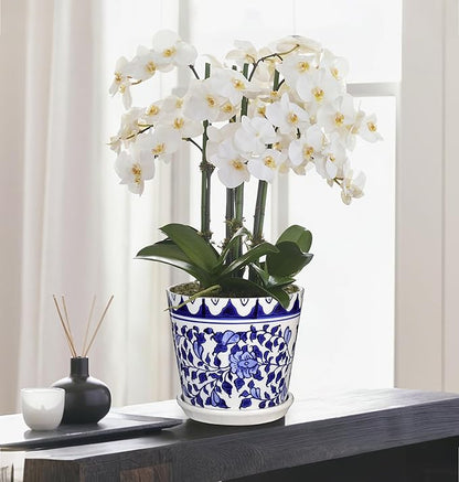 Hollyone 2PCS Blue and White Vase Flower Pot Porcelain Pots Vases Chinoiserie Vase Classic Ceramic Chinese Floral Pot Vases for Bedroom Living Room Console Table Accent Shelf Tabletop Home Decor