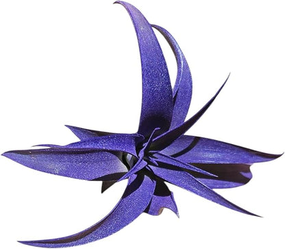 Giant Rainforest Grown Capitata Purple Enhanced Air Plant - Live Tillandsia - 5 to 8 inches - 30 Day Guarantee