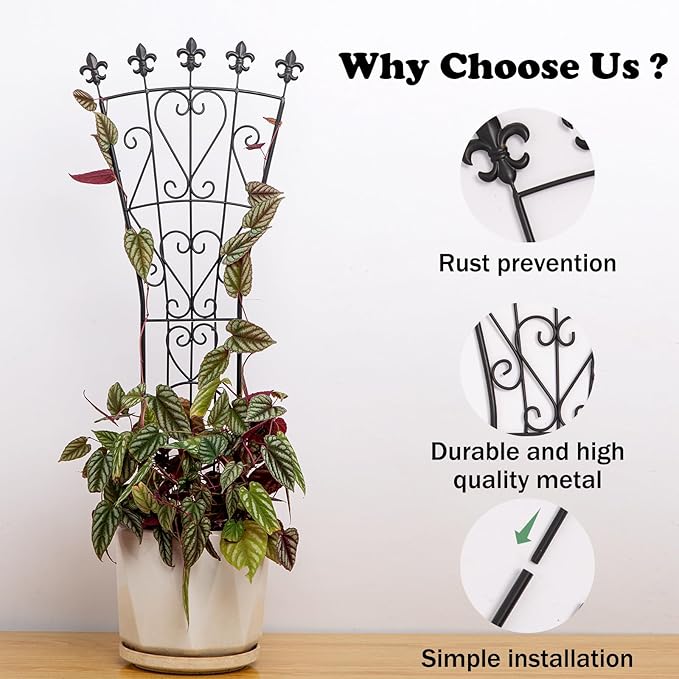 Heavy Duty Indoor Trellis for Climbing Plants Set of 3 – 31x12 Inches Premium Iron Plant Support for Garden, Balcony, and Indoor Spaces – Perfect for Monstera and Other Houseplants