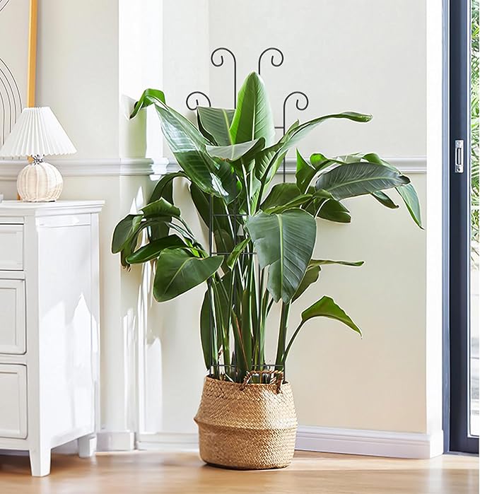 2 Set 32'' Taller Plant Trellis for Climbing Plants Indoors & Outdoor, Garden Metal Trellis Plant Support for Potted Plants, Houseplants, Flowers Vine, Ivy, Pothos, Monstera