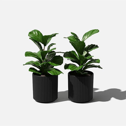 Veradek Demi Series Round Planter for Porch, Patio, Backyard | Durable Plastic-Stone Composite Material | Modern Décor for Tall Plants, Flowers