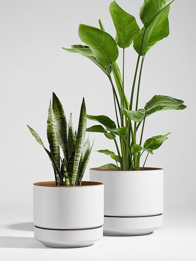 LE TAUCI 12 Inch Pot for Plants with Saucer, Ceramic Indoor Planter Pot with Drainage Hole, Mesh Pad & Plug Included, Matte Glazed Outside, Modern for Home and Office, Alpine White & Ochre