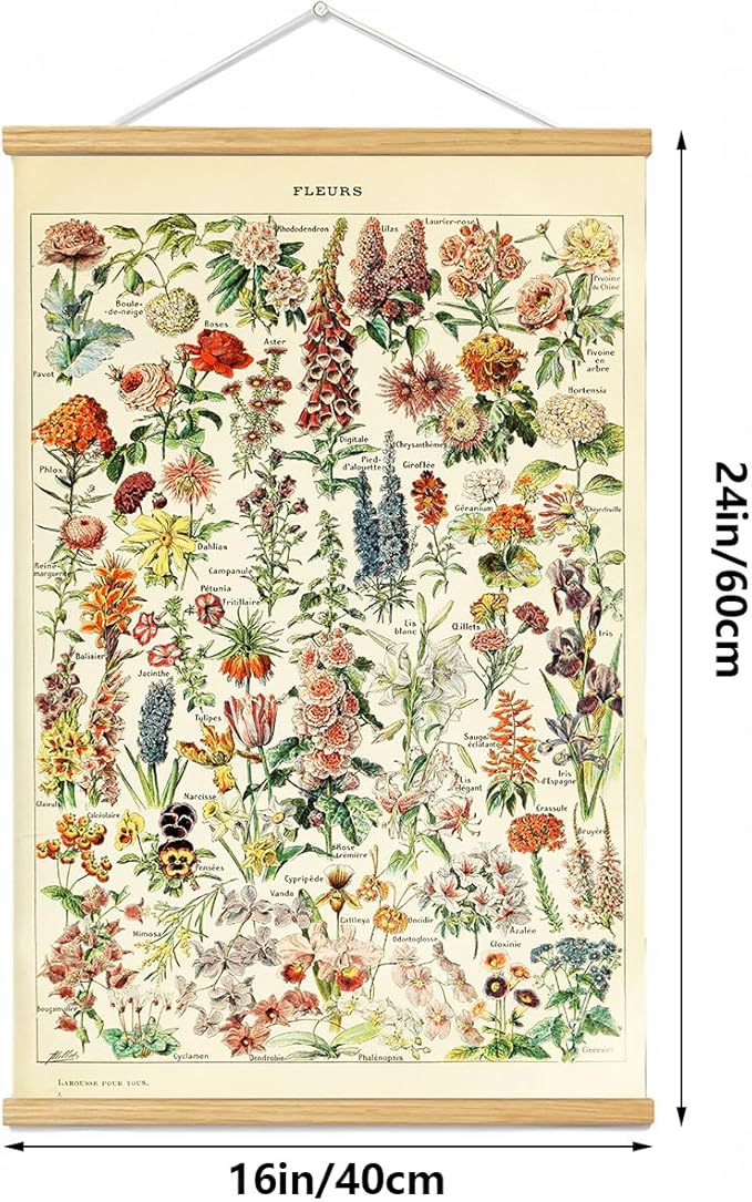 Vintage Flowers Poster Hanger Frame, Plant Floral Reference Chart Wall Decor Cottagecore Room Decor Aesthetic, Retro Style Wall Decor Art Painting Prints. (plant D, 24L x 16W)
