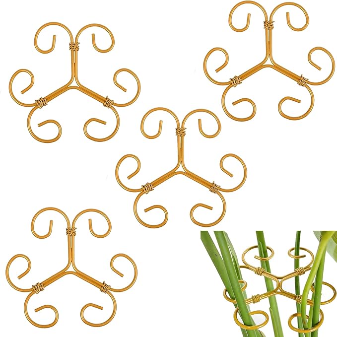 4PCS Iron Monstera Support - 4.1IN Plant Support Stakes for Indoor Plants, Stable Plant Stakes and Supports, Ideal Plant Support for Turtle Shell Bamboo & Houseplants (B)