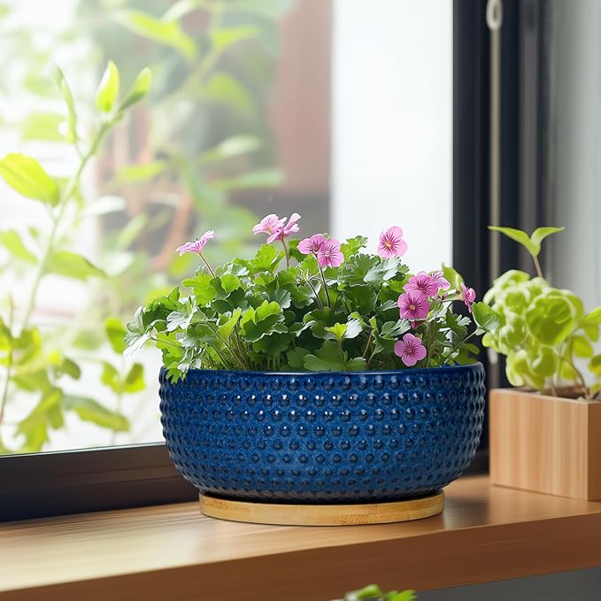 Bonsai Pots - 8 Inch Ceramic Pots for Succulent Plants & Bonsai Tree, Planter with Drainage Hole and Saucer, Modern Round Decorative Flower Planters, House Decor, Gifts for Women Man, Blue