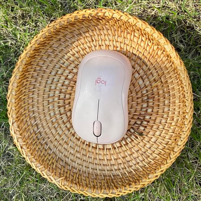 Small Round Display Basket for Entryway Hand Woven Wicker Rattan healthy environmental Vine Storage Organizer Cane Decorative Tray for Keys Wallet Phone remote control Fruit Candy Cake Food (2pcs)