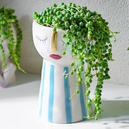 Live Succulent Plants String of Pearls, Rare Succulents Fully Rooted in 4" Pots with Soil, Easy-Care House Plant, Standard Packaging