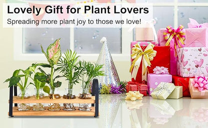 Plant Propagation Station with Wood Stand, Desktop Terrarium for Hydroponic, Flower Vase for Home, Kitchen, Office Decor, Plants Lover Gifts