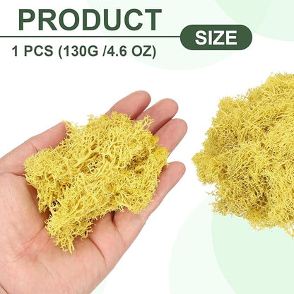 MECCANIXITY 4.6oz Preserved Reindeer Moss, Yellow Decorative Artificial Fake Moss for Potted Plants Indoor Crafts Lichen Centerpieces Decor