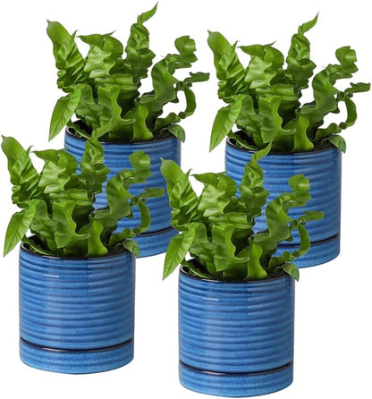 HASENSE Small Plant Pots, 4.6 Inch Porcelain Planters with Drainage Holes and Tary, Mini Pots for Flower, Succulents, Cactus, Herbs, Modern Blue Decorative for Home Kitchen Office, Set of 4