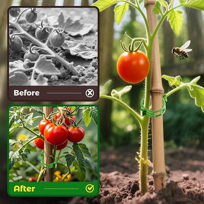 100pcs Secured Plant Clips,Plastic Trellis Garden Support Clips for Climbing, Outdoor Clips for Support Grape Tomato Vine Vegetables Plants,Reusable Clips to Grow Upright Makes Plants Healthier