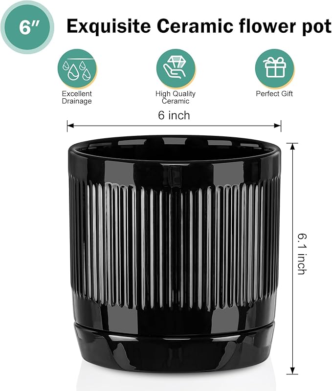 Vanavazon Ceramic Planter Pots for Indoor Plants with Drainage Hole and Saucer,6 Inch Cylinder Plant Pots,Glazed Finish Interior and Exterior,Set of 2 (Black)