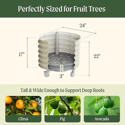 Rolling Metal Citrus Tree Planter, Self-Watering Round Large Pot for Growing Trees Tomatoes Vegetables and Flowers, Raised Garden Bed with Wheels for Porch Patio & Backyard, Single Pack-Pearl White