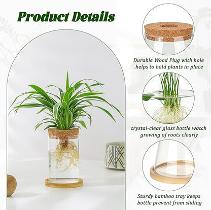 6 Pcs Plants Propagation Stations Glass Planter Terrariums with Wooden Lid and Bamboo Stand Desktop Propagation Vases Jars for Plant Growing Hydroponic Home Office Tabletop Garden Decoration