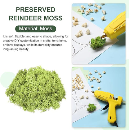 MECCANIXITY 4.6oz Preserved Reindeer Moss, Bright Green Decorative Artificial Fake Moss for Potted Plants Indoor Crafts Lichen Centerpieces Decor
