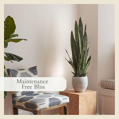 CG Hunter Faux Snake Plant, Premium Artificial Indoor Plant Stands 40” Tall and Enhances Interior Design, Lifelike-Leaves Create Realistic Natural Appearance, Grey Planter Pot Included