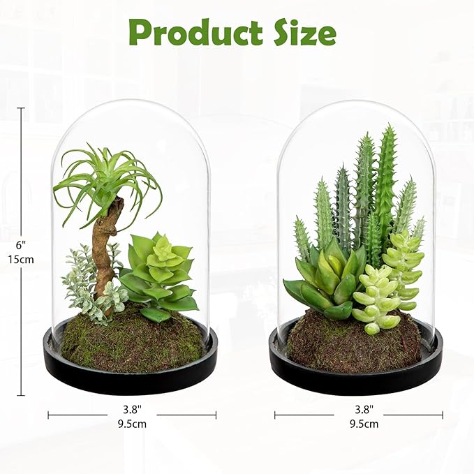 Set of 2 Artificial Succulents Plants in Glass Dome with Featuring Sand Moss, Small Fake Cactus Plants Faux Plants Indoor Decor for Home Office Table Desk Shelf Room Hostess Gift