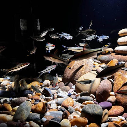 5 lbs Pebbles for Plants, 1-2 Inch Decorative River Rocks for Plants Indoor, Landscape, Garden, Aquarium, Fountain, Walkways and Outdoor Decorative Stones