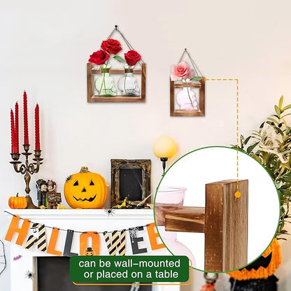 2+1 Plant Terrarium Plant Propagation Station Gifts for Father Halloween Skull Home Office Decor with Wooden Stand