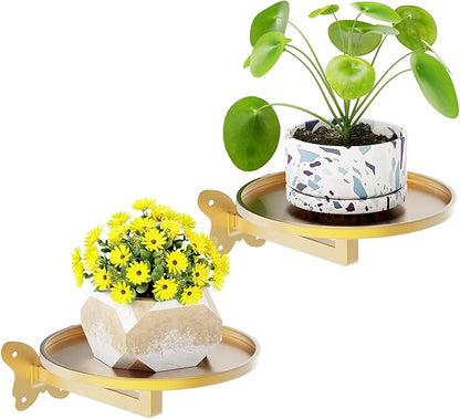 Wall Mounted Plant Holder - Butterfly Metal Hanging Shelf for Indoor Plants Succulents Flowers Decor Sturdy Wall-Mounted Storage for Bedroom Living Room Bathroom Space-Saving Home Organizer 2-Pack Gold