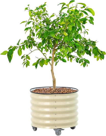Rolling Metal Citrus Tree Planter Pot, 24″ Round Planter Box for Porch Patio & Backyard, 30 Gallon Large Planter Pot with Wheels for Growing Trees Tomatoes Vegetables and Flowers, Pearl White
