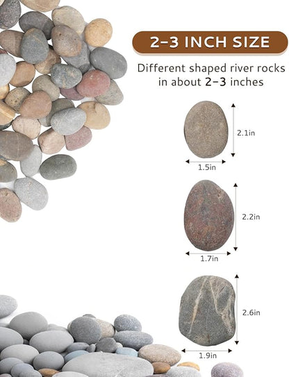Natural River Rocks-10 lbs of Pebbles and River Stones,2-3 Inch Plant Rocks for Landscaping,Garden Paving,Crafting,Walkways,and Outdoor Decorative Stone,Mexican Beach River Rocks