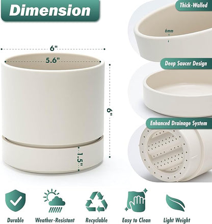 Phoenix Vine 6 Inch Planter Pot with Drainage Hole & Saucer, Deep Water Catch Tray, Straight Cylindrical Round Pot for Plants, Oatmeal, Pack of 3, 23-E-S-3