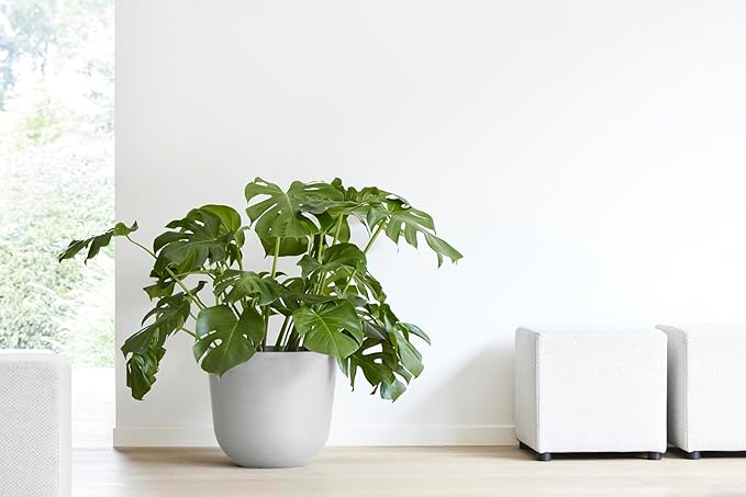 Ecopots Oslo Durable Modern Round Indoor/Outdoor Recycled-Based Composite Flower Pot Planter, White Grey, 17.75"