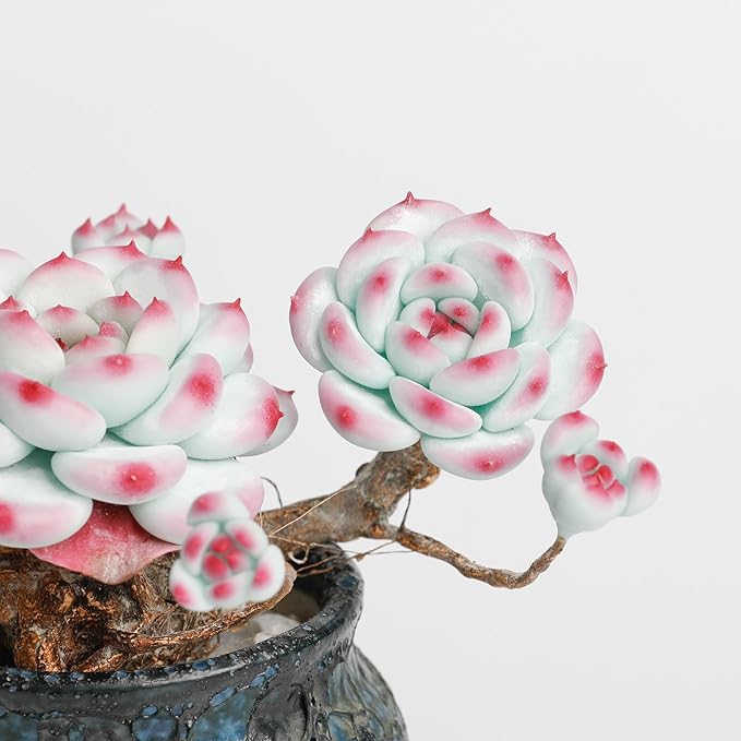 Galagaga Handcrafted Artificial Succulent Plant in Textured Ceramic Pot, Pink and Mint Green Clay Flowers, Maintenance-Free Home Decor (1, shape5)