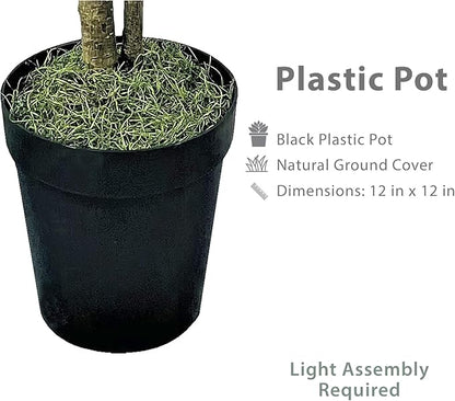 6ft Artificial Ficus Tree in Black Plastic Pot - Real Wood Trunk, Preassembled, No Maintenance Indoor Faux Plant - Living Room, Home & Office Decor