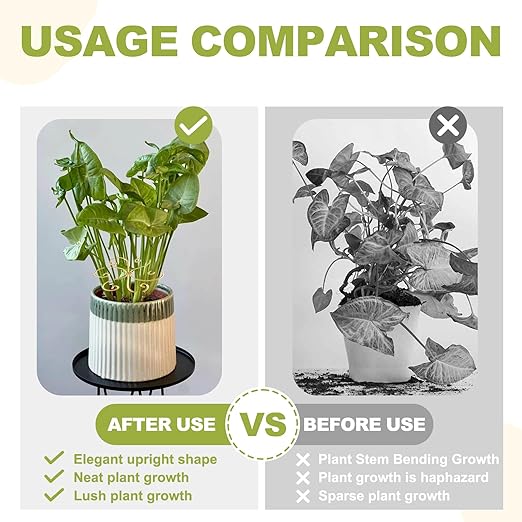 Plant Stem Supports for Indoor Plants, 4 Pack Iron Monstera Plant Support, Gold